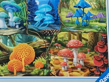 Ravensburger Puzzles: Puzzle – D'occasion à Schöftland par orella7 2