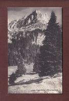 BRAUNWALD - Eggstöcke - Ortstock - 1917