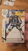 LUCA FAZZINI,GREEN CARD,SPORTZOO,2025 LUGANO