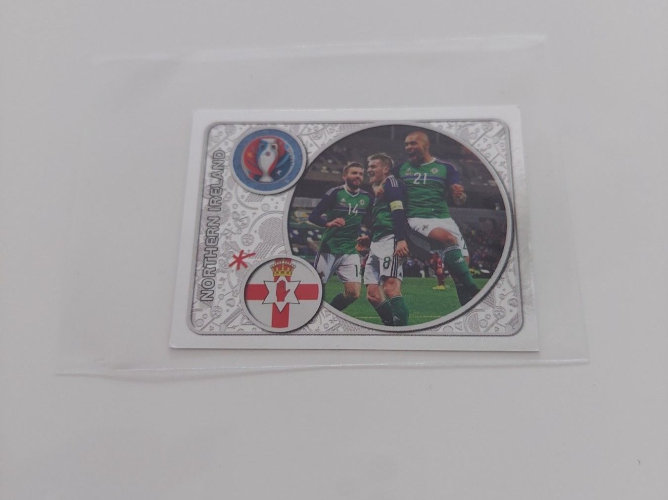 Panini Carte collezionabili: Nordirland Mannschaft Glitzerbild EM 2016 – Usato da Köniz venduto da Toyscollect