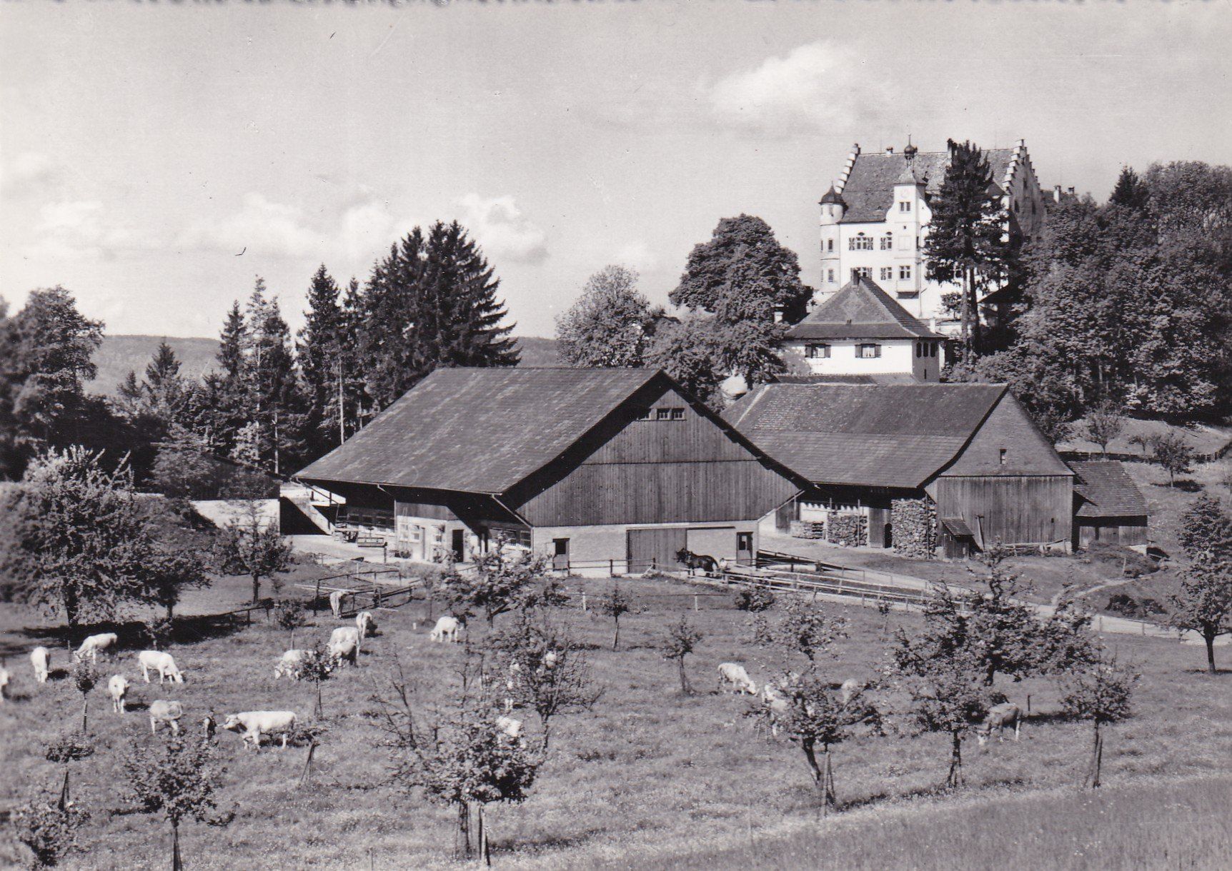 Cartoline postali: Schloss Sonnenberg Steffurt (TG) – Usato da Cormoret venduto da Pascalll2001