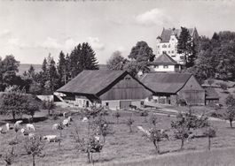 Schloss Sonnenberg Steffurt (TG)