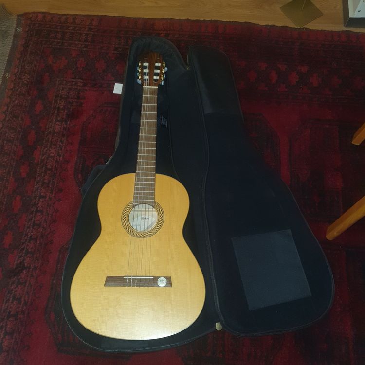 Gitarre (Gebraucht) in für CHF 200 – nur Abholung auf Ricardo kaufen