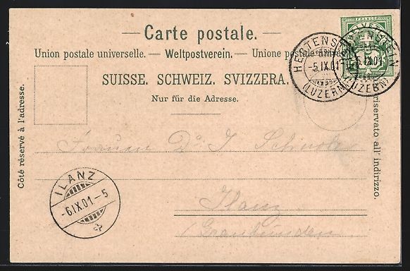 Cartoline postali: Litho Hertenstein, Pension Hertenstein u – Usato da Berlin venduto da bartko-reher 1