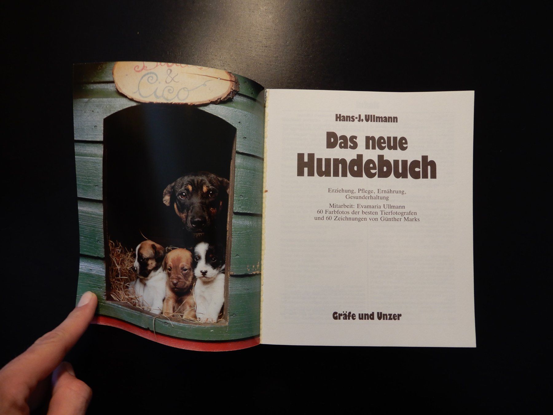 Bücher: Hundebuch "Das neue Hundebuch" von Ullmann – Gebraucht aus Erstfeld von Mario_boe0 1