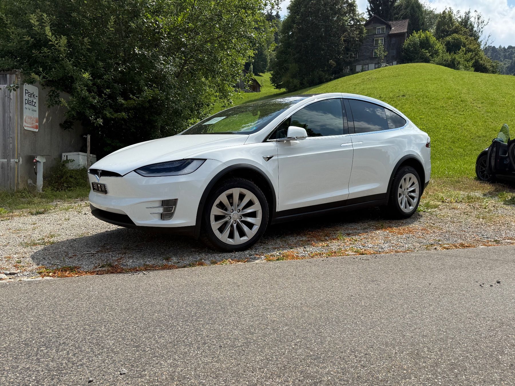 Tesla Automobili: TESLA Model X 100D – Usato da Ebnat-Kappel venduto da anitasteiner