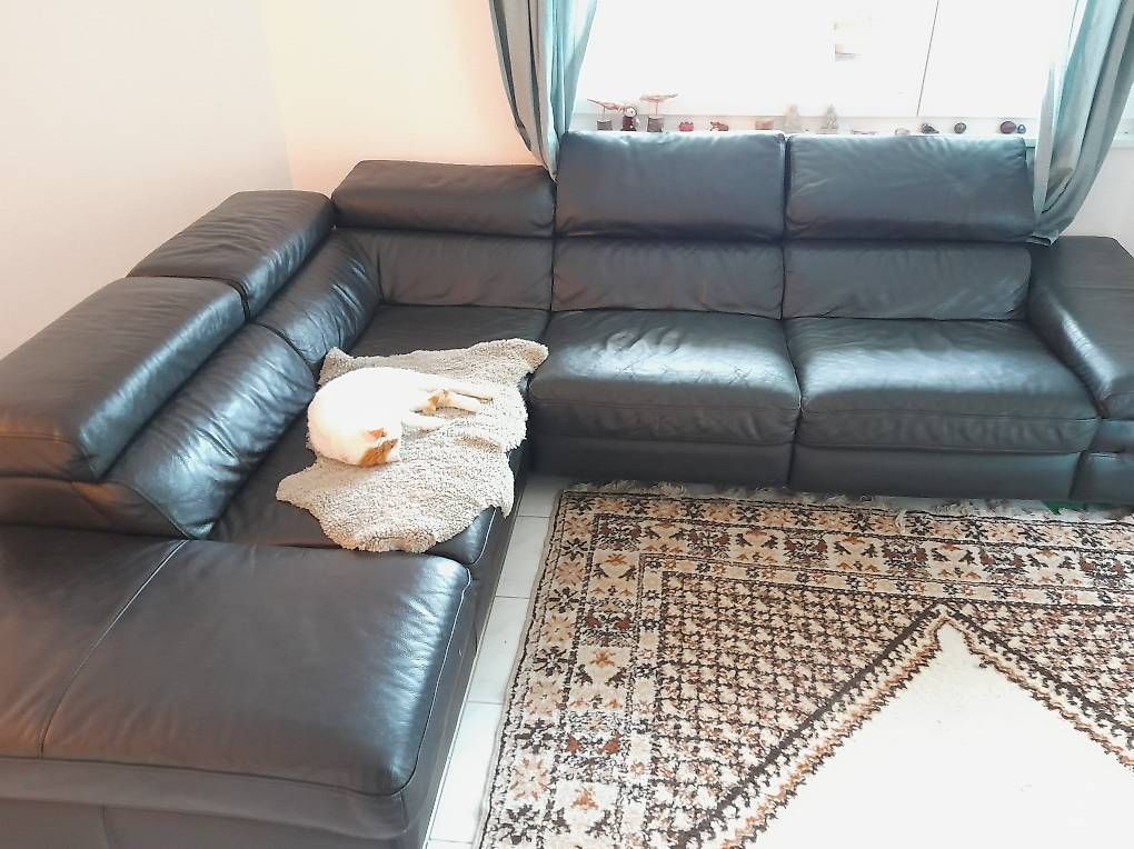 Divani: Grosses Leder-Ecksofa Schwarz (285x230 cm) – Usato da Grellingen venduto da pel_vf8z