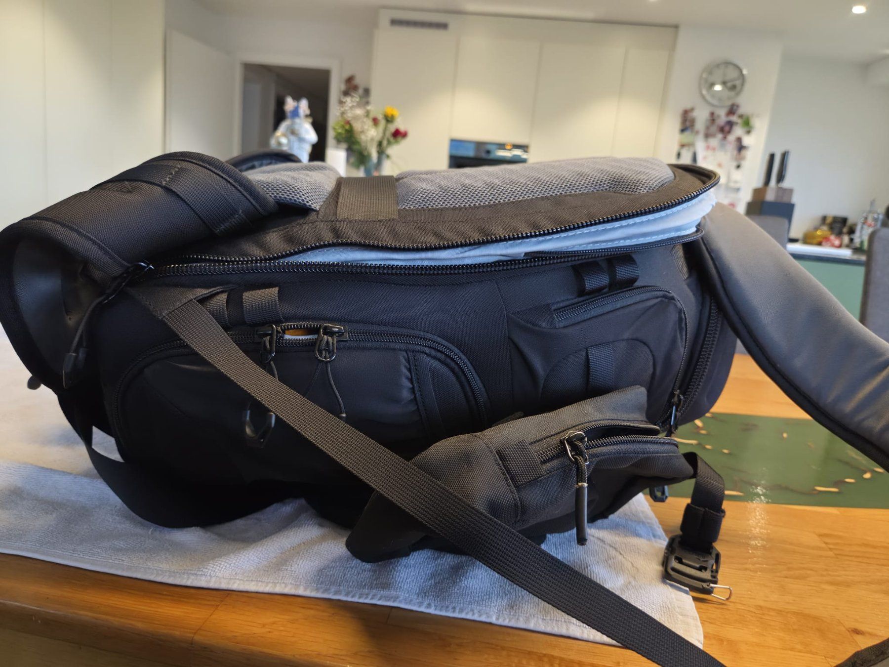 Lowepro Zaini: Lowepro ProTactic BP 350 AW II Rucksack – Usato da Schöfflisdorf venduto da Usserdorf 5