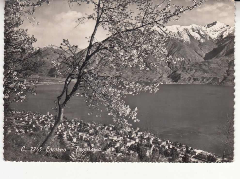 Cartoline postali: Locarno 1953 mit ST Gudo – Usato da Bürglen TG venduto da StampGraf