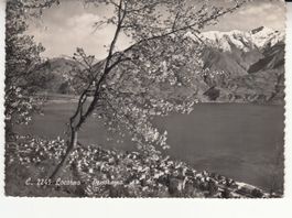 Locarno 1953 mit ST Gudo