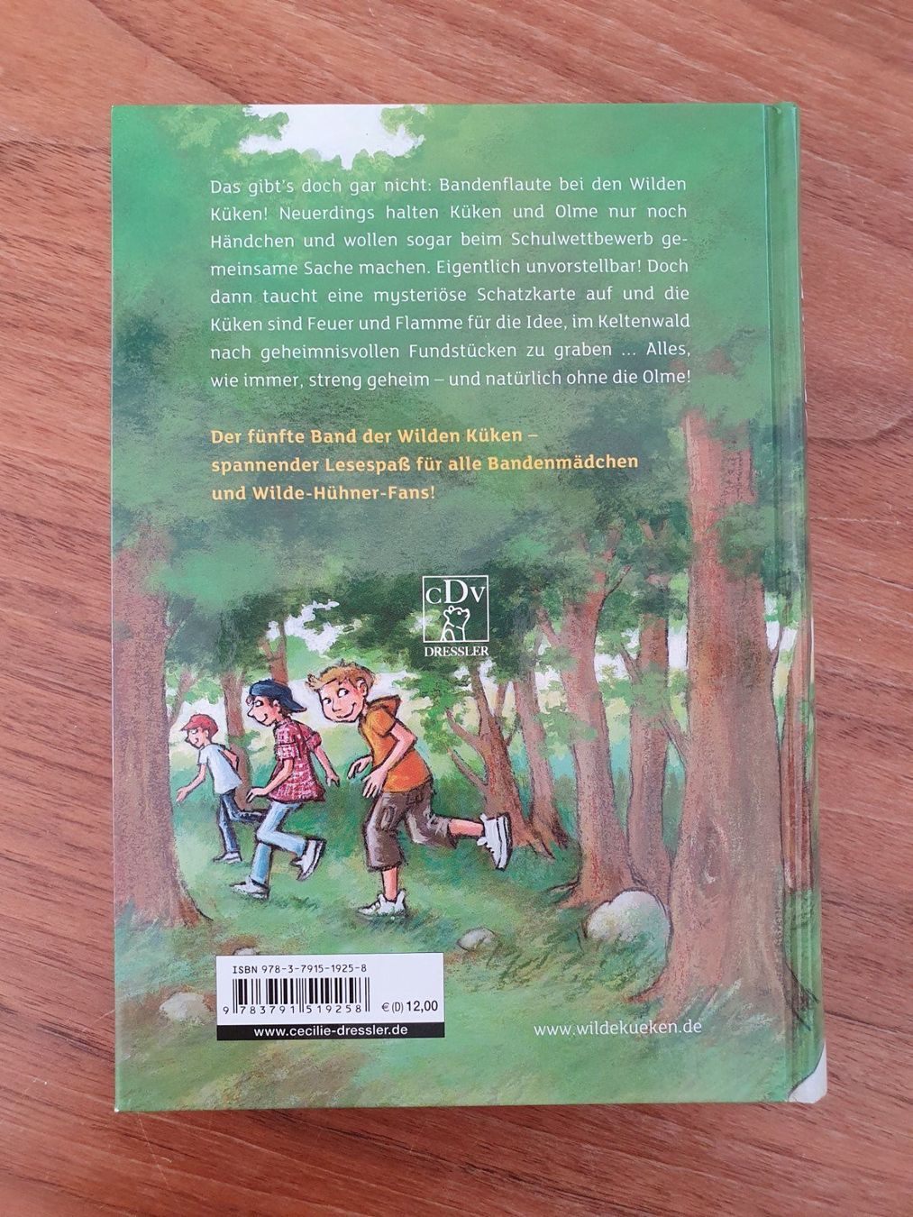 Libri: Die wilden Küken auf Schatzsuche – Nuovo (secondo la descrizione) da Jona venduto da Mafari 1
