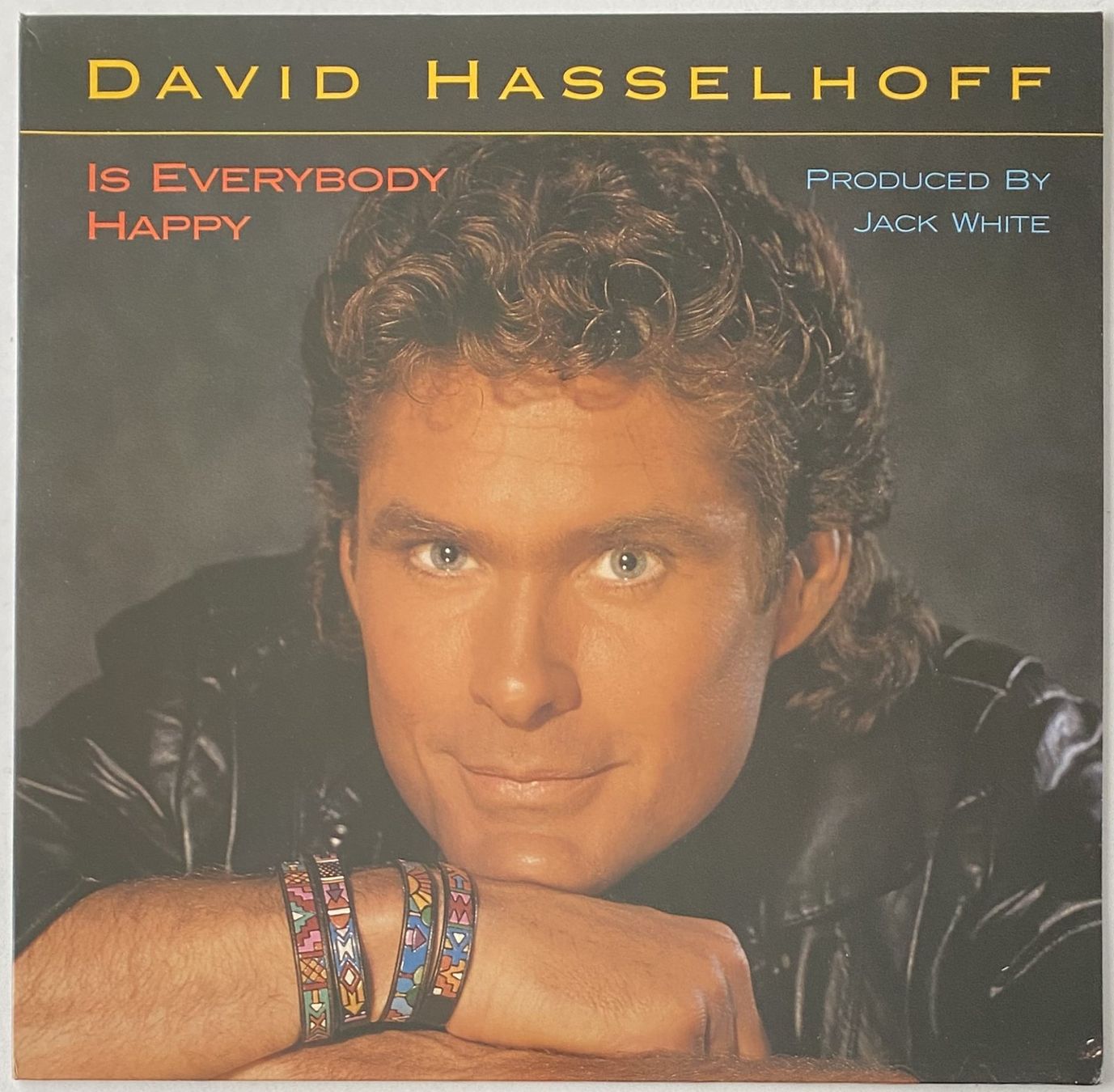 Dischi in vinile: David Hasselhoff, Is Everybody Happy – Usato da Flums venduto da Empe1