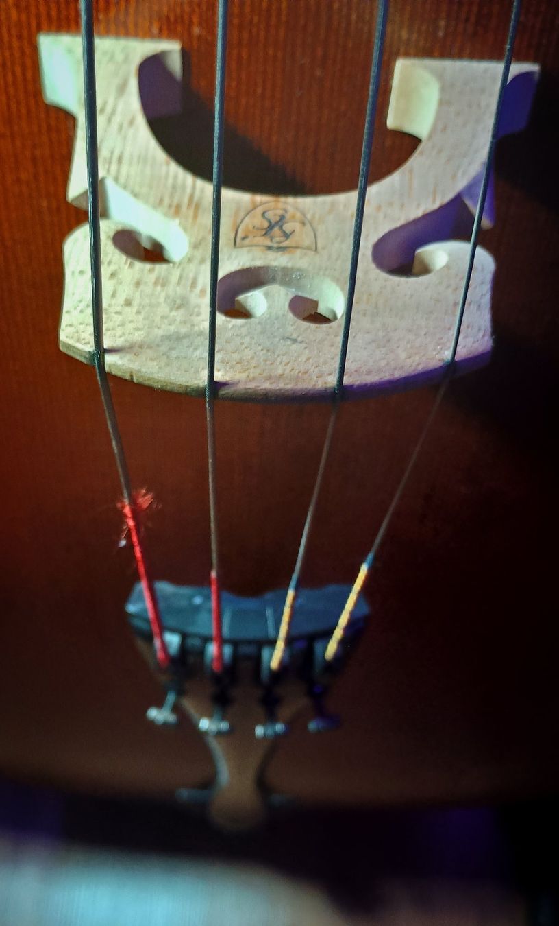 Musikinstrumente: Lothar Semmlinger 135A Cello inkl. Koffer & Ständer – Neu (gemäss Beschreibung) aus Gossau ZH von GimK_4er 8