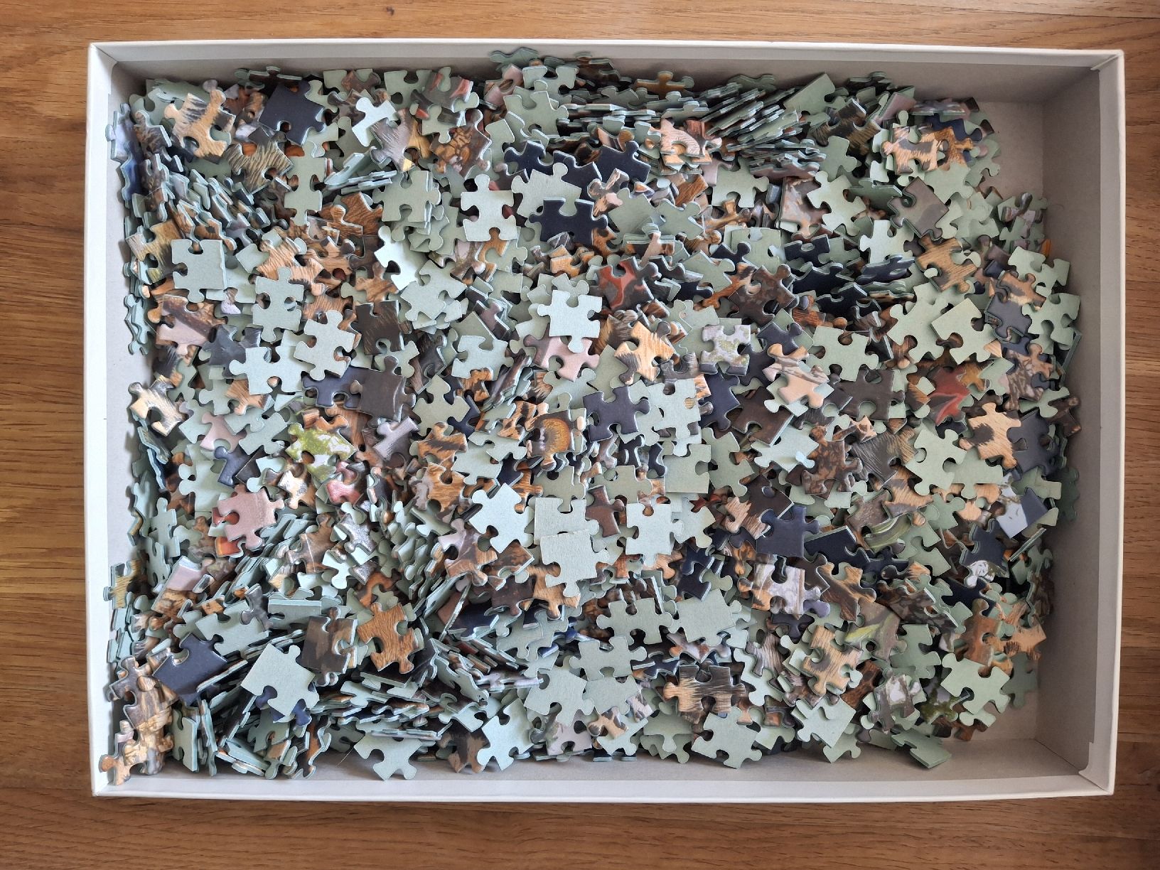 Ravensburger Puzzles: Ravensburger Puzzle 1500 Teile Leoparden – Gebraucht aus Zürich von Vordermannd86 2