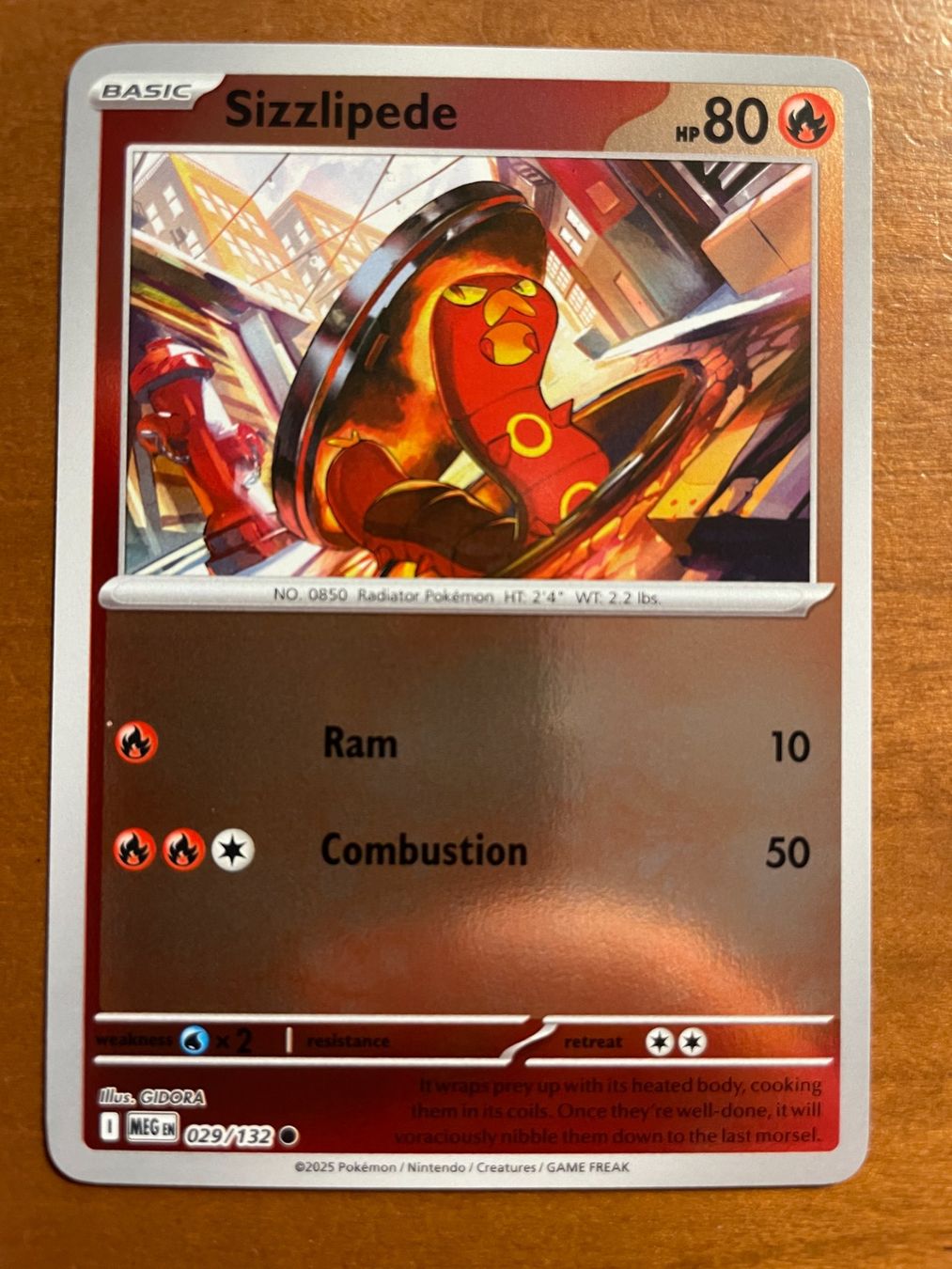 Pokémon Carte collezionabili: Pokemon Sizzlipede Reverse (Versand gratis) – Nuovo (secondo la descrizione) da Chur venduto da Angerson
