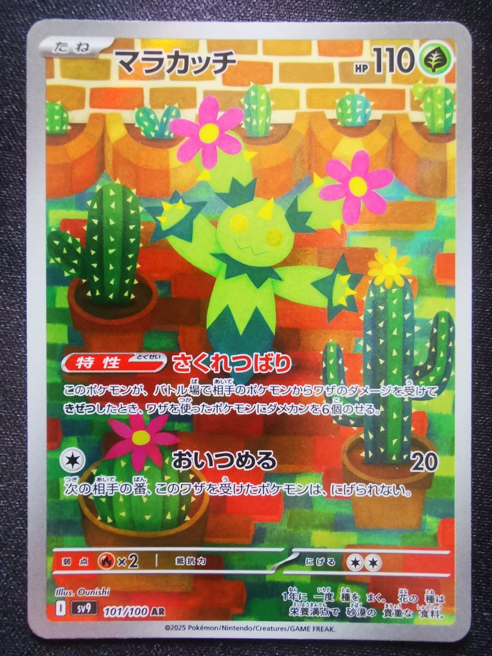 Pokémon Sammelbilder & Trading cards: Pokemon Maractus AR 101/100 Battle Partners JP – Neu (gemäss Beschreibung) aus Cousset von VstarCards