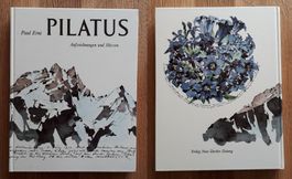 Pilatus - Paul Erni Aufzeichnungen & Skizzen NZZ Verlag 1980