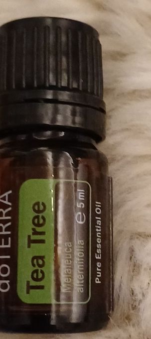Doterra Ätherische Öle: dōTERRA Teebaumöl ätherisches Öl 5 ml  – Neu und originalverpackt aus Riniken von Lessy-