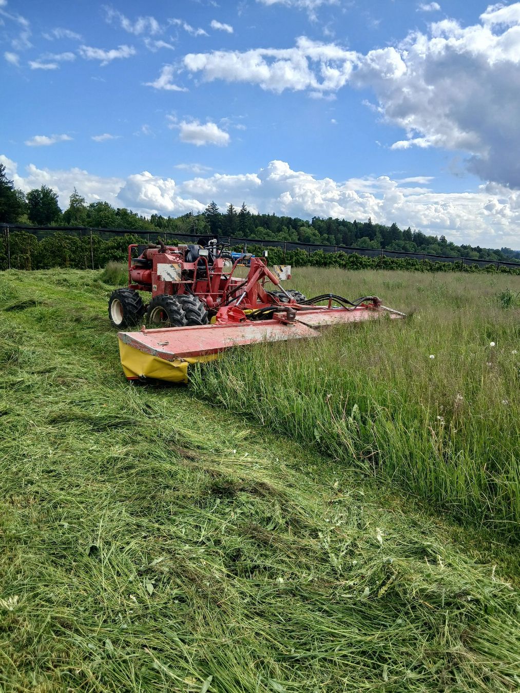 Deutz Trattori: Selbstfahrender Mähtrak mit 5m Arbeitsbreite – Usato da Wiliberg venduto da Deutzpower