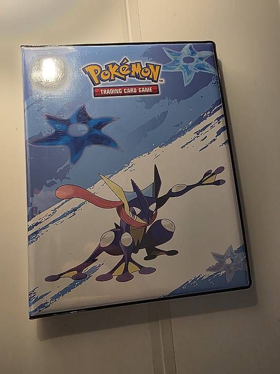Pokémon Carte collezionabili: Pokémon Portfolio & Karten – Usato da Jens venduto da tra_da87