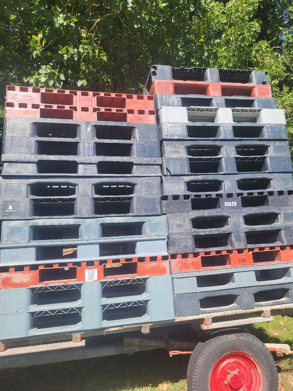 Pallets: palettes plastique  – Usato da Montbrelloz venduto da vin_fcv9