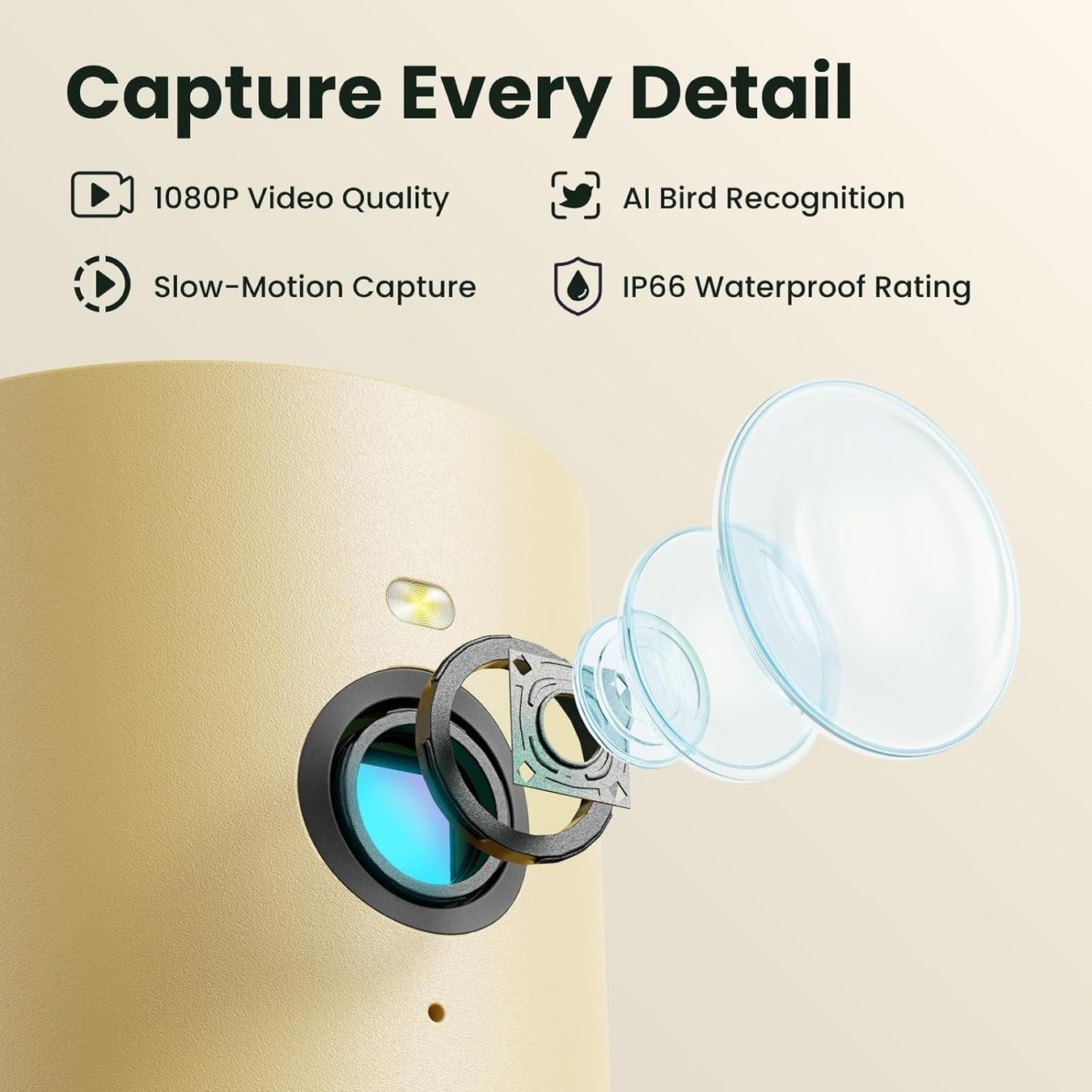Casette per uccelli: Vogelfutterhaus Kamera Solar KI-Erkennung 1080P App – Nuovo e nell'imballaggio originale da Hallau venduto da Sale50OFF 1
