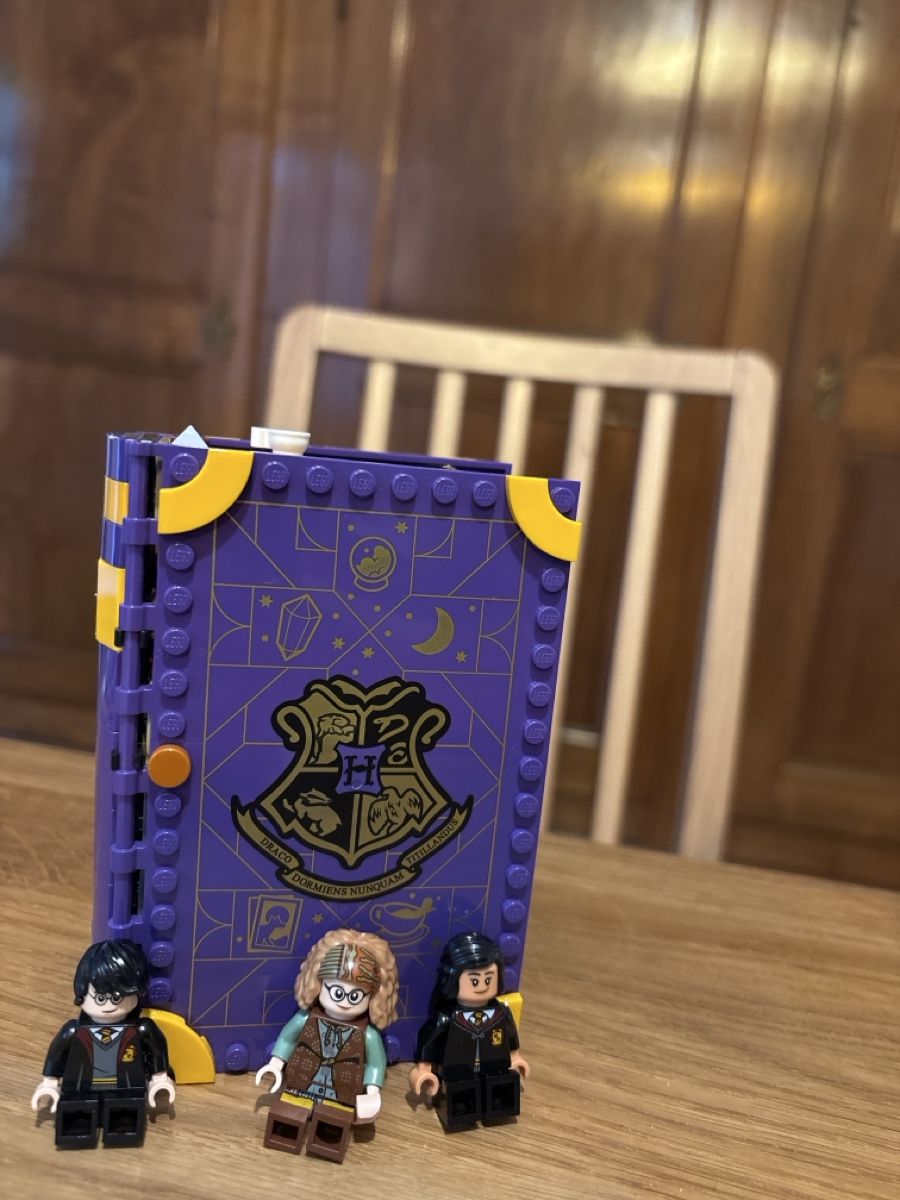 Lego Baukästen: LEGO Harry Potter 76396 Hogwarts  Class – Gebraucht aus Basel von Pje_english 1