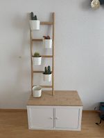 Boho Wohn-Set  IKEA KALLAX + Kakteen + Bambusleiter