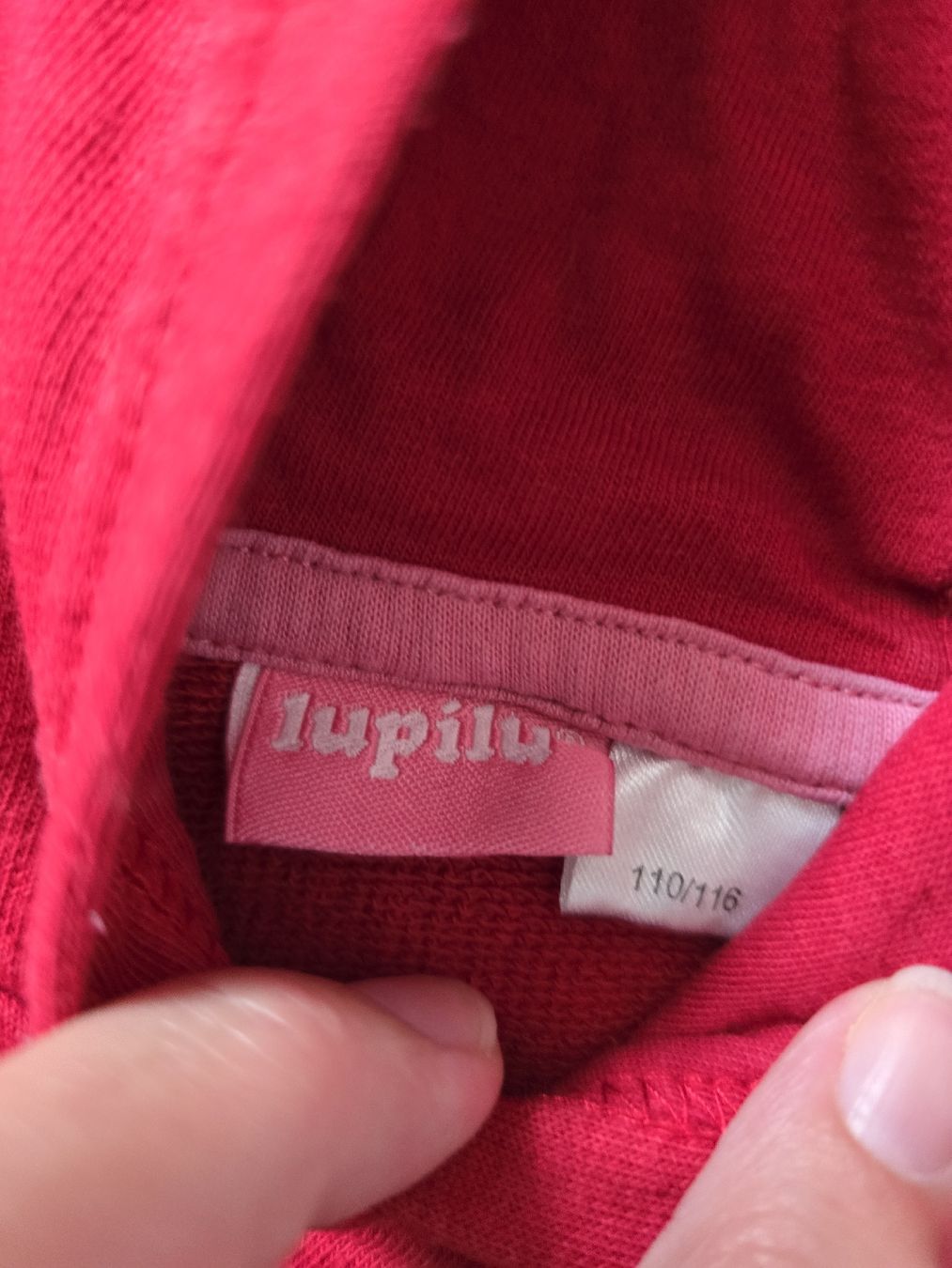 Maglioni & Felpe: Kapuzenpullover Grösse 104-110  – Usato da Unterentfelden venduto da Panda-87 1