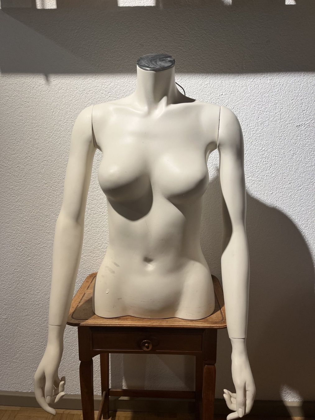 Autres décorations & accessoires: Torso weiblich, mit Armen und Tragegriff – D'occasion à Regensdorf par zgve