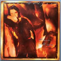 ROGER HODGSON - HAI HAI