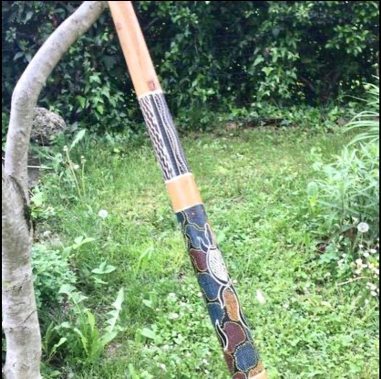 Didgeridoo Kaufen auf Ricardo