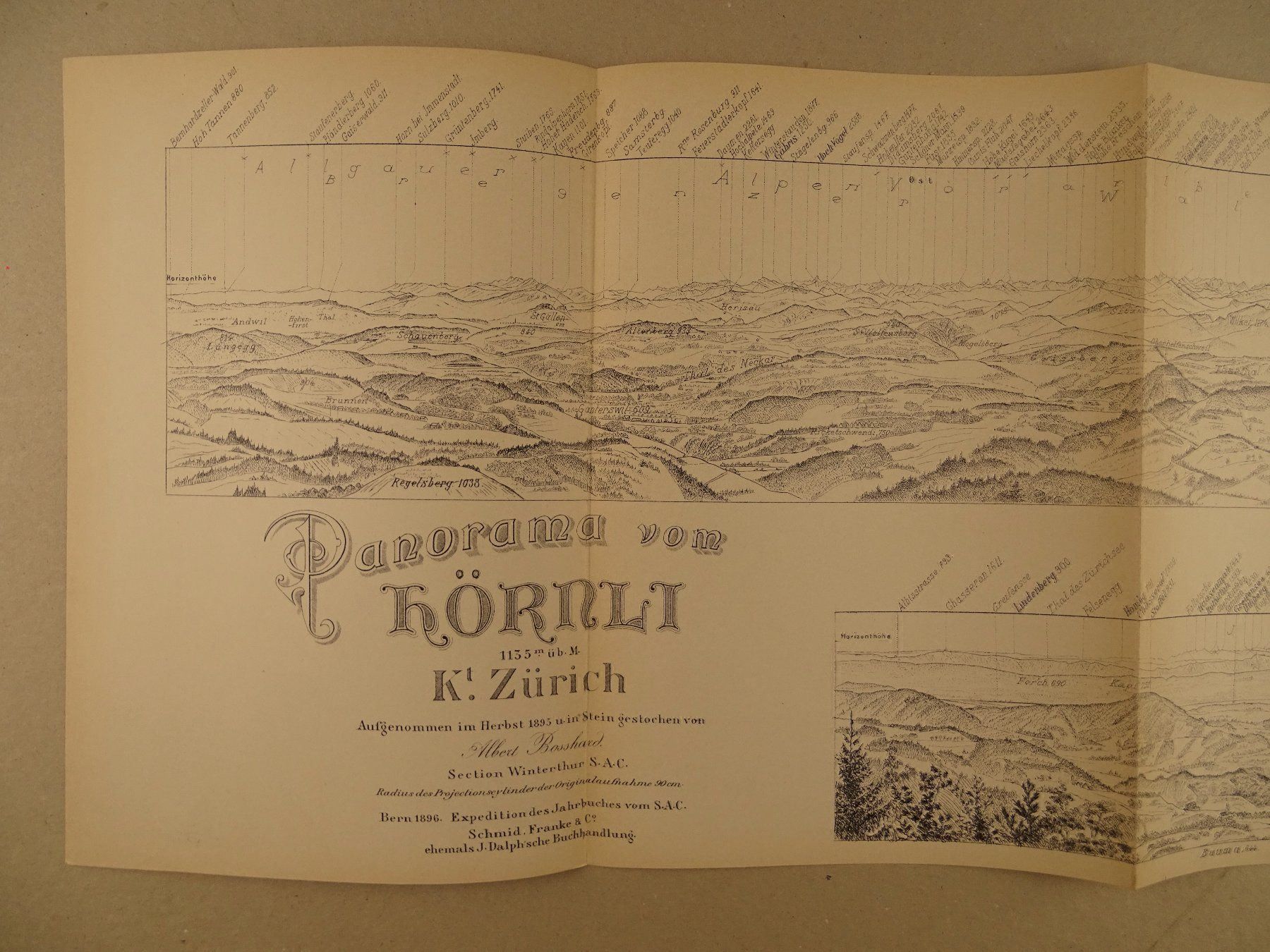 Cartine & Atlanti: PANORAMA VOM HÖRNLI 1896 – Usato da Grüningen venduto da Kartensammler