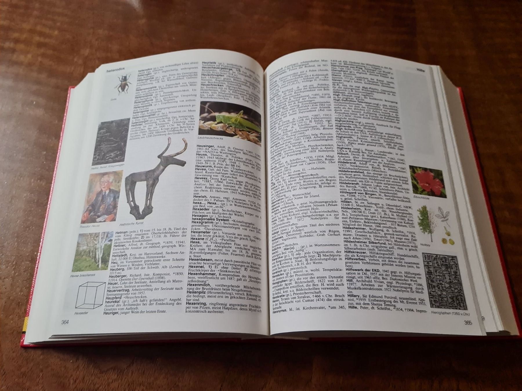 Libri: NEUES GROSSES LEXIKON IN FARBE – Usato da Erstfeld venduto da Mario_boe0 2