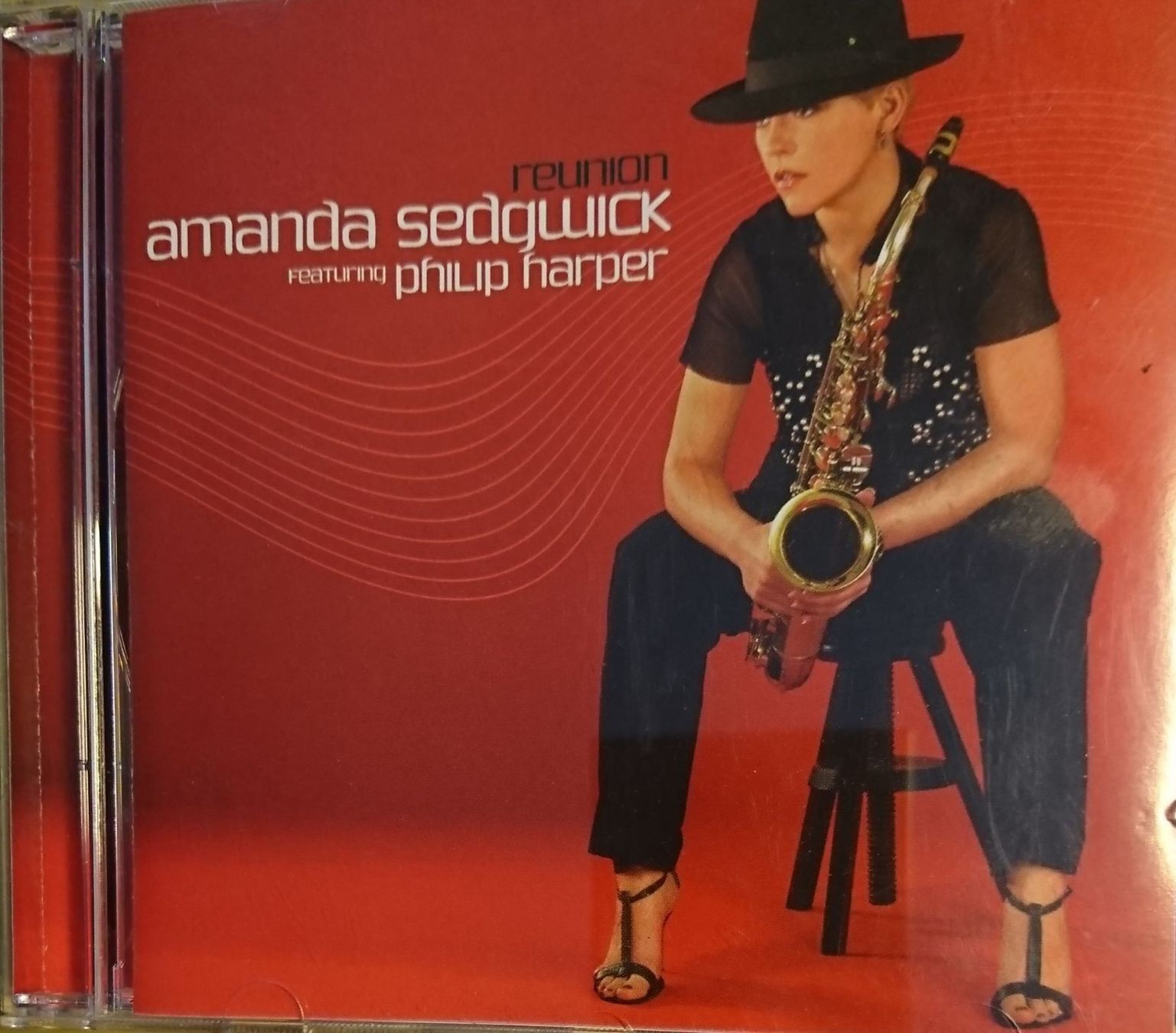 Bücher: AMANDA SEDGWICK Reunion – Gebraucht aus Zürich von Raz88