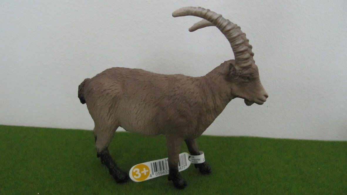 Spielzeuge: Schleich  Steinbock und Biber, neuwertig – Neu (gemäss Beschreibung) aus Brunnen von Kiwiland1 1
