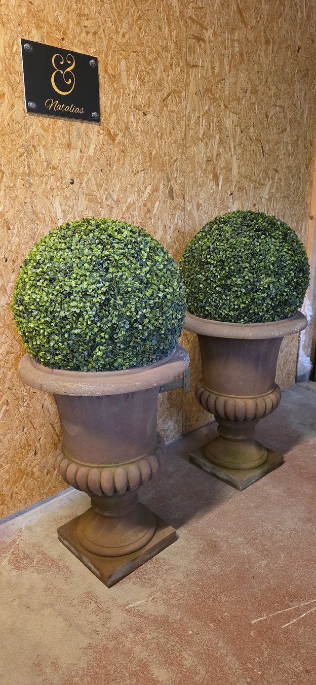 Vasi per fiori: 2 Medici Vasen, Garten Amphoren mit 2 Buchsbaumkugeln – Usato da Kaufdorf venduto da Nati-Nati 1