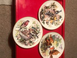 Hutschenreuther Sammelteller  Ursula Bands Vogelfamilie