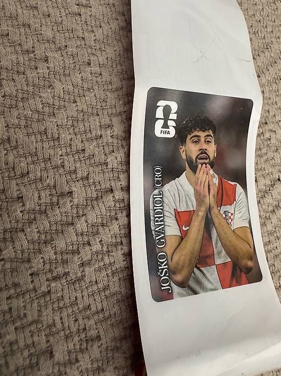 Sammelbilder & Trading cards: Panini – Gebraucht aus Zürich von Gregorycar 3