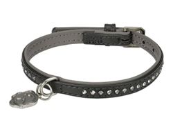 Schwarzes Hundehalsband XS
