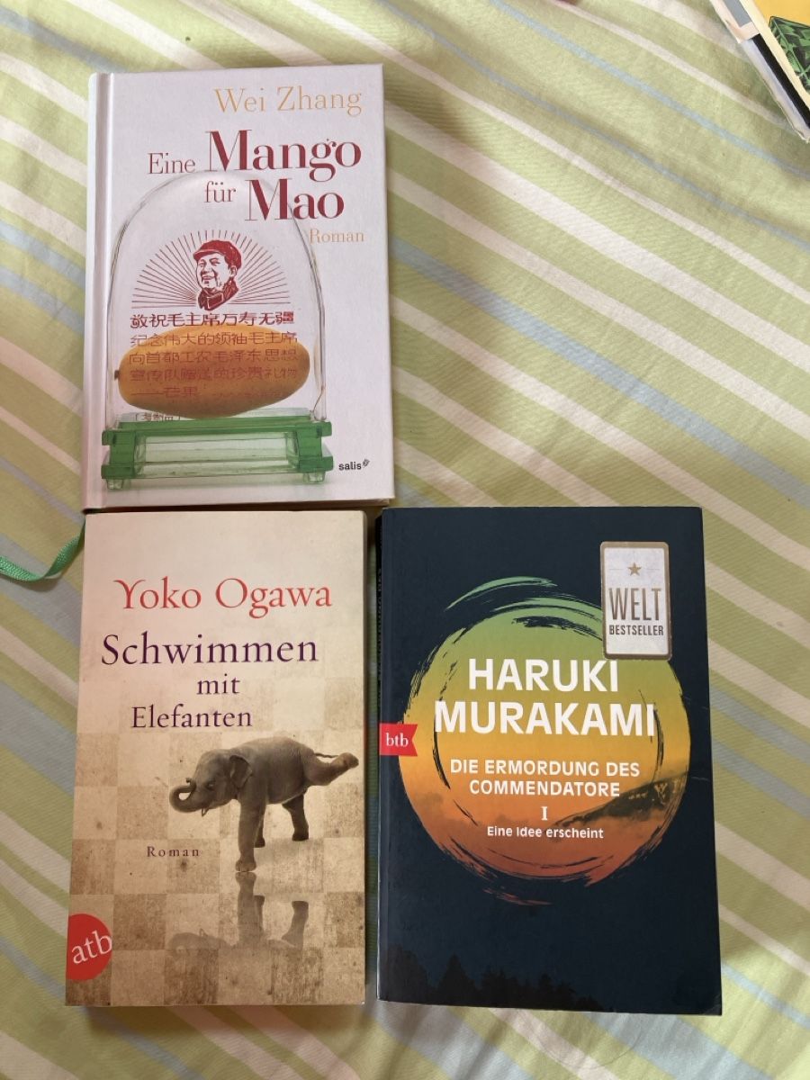 Libri: Murakami, Ogawa, Wei Zhang – Usato da Bremgarten b. Bern venduto da buc_wx6j