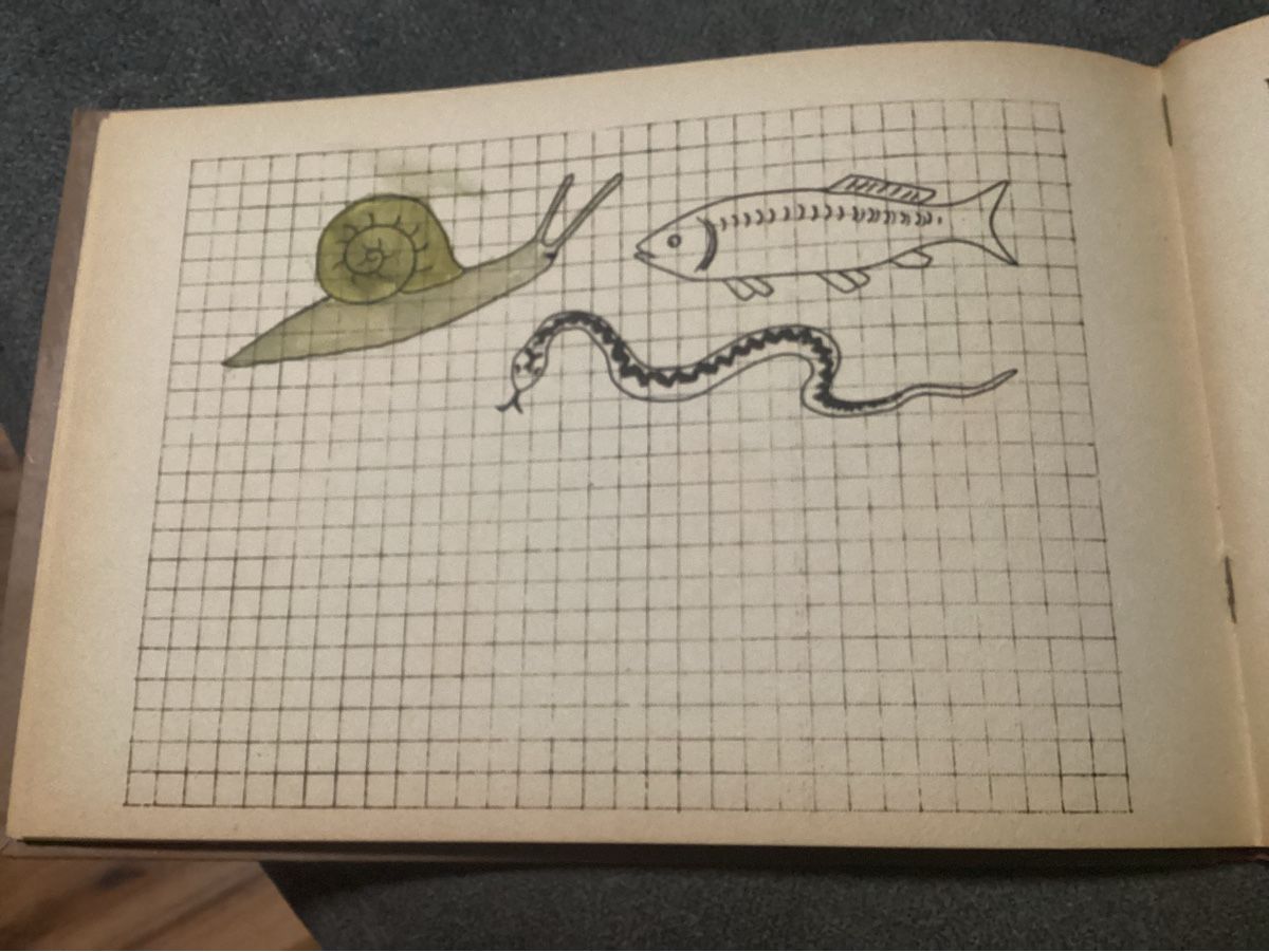 Libri: ANTIKES KINDER VORLAGEBUCH UM 1900 – Usato da Münchenstein venduto da NoSu98 5