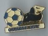 FC Cardiff City PIN