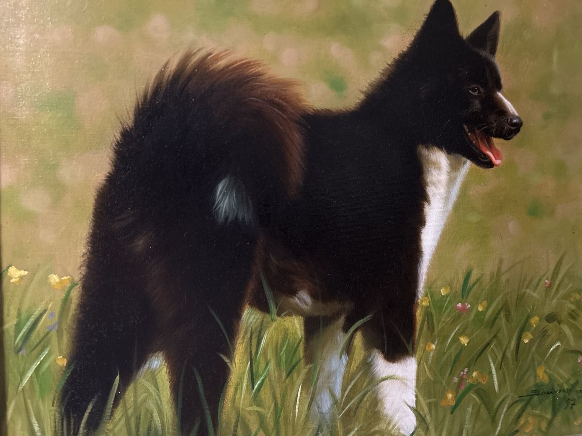 Gemälde: Gemälde: von einem Hund , signiert '97. – Gebraucht aus Glarus von KunstWerkEr-LS87 3