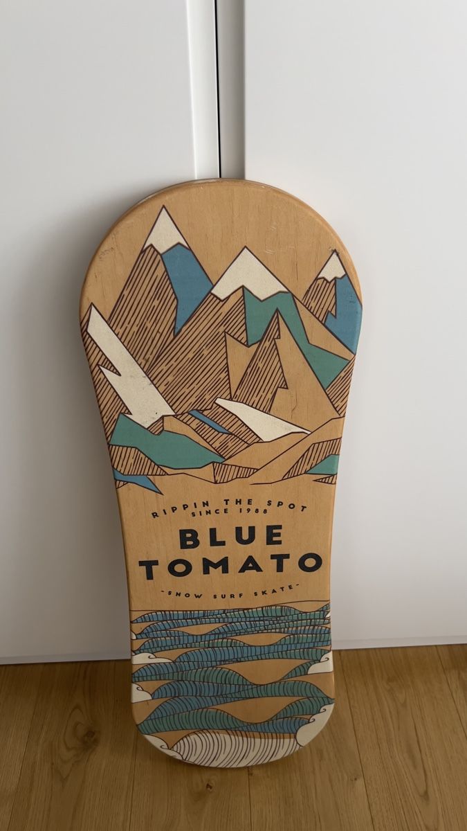 Hometrainer: Balance Board – Usato da Kriens venduto da cam_6yx6 3