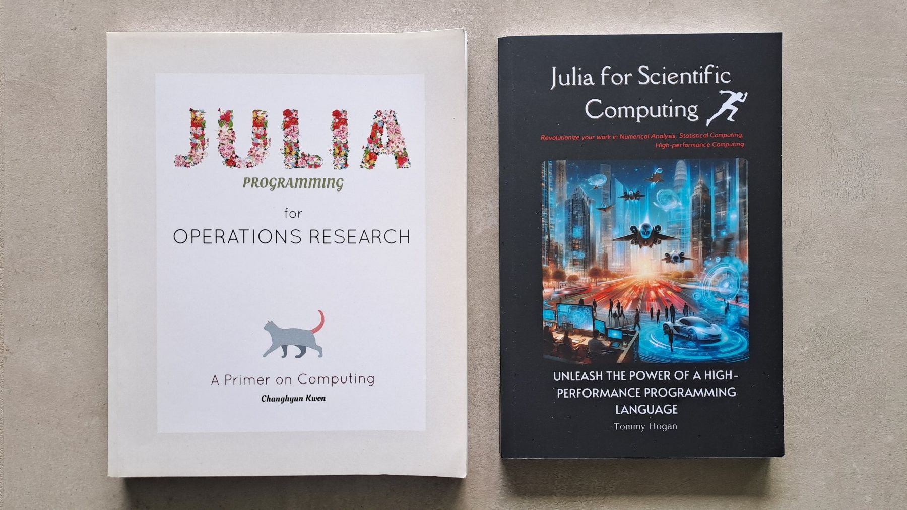 Libri: Julia Programmiersprache - 2 Bücher – Usato da Caslano venduto da Welaberg