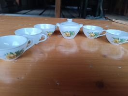 Niedliches Puppenservice, Mini-Teeservice mit Rosenmuster