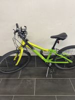 Velo 24”