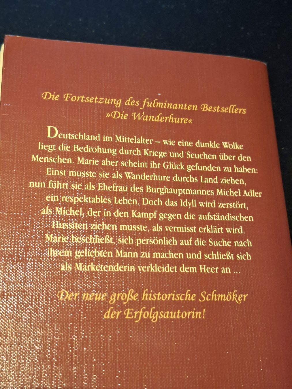 Libri: Iny Lorenz, Die Kastellanin, Taschenbuch  – Usato da Grindelwald venduto da carro5 1