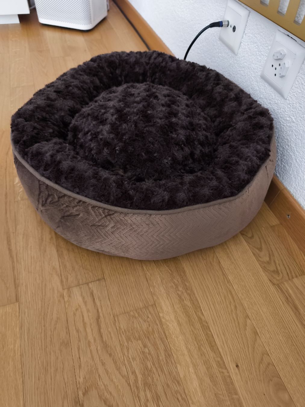 Cucce & Letti: Hunde oder Katzenbett braun – Nuovo (secondo la descrizione) da Effretikon venduto da donjuan105 1